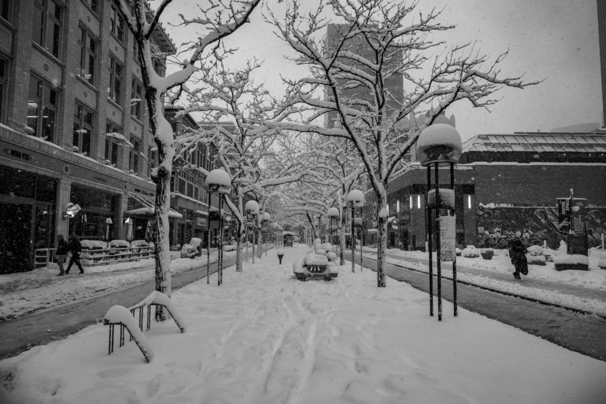 snowy-street-businesses